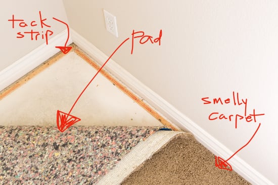 https://www.deepsouthventures.com/wp-content/uploads/carpet-and-carpet-pad-tack-strip-min.jpg