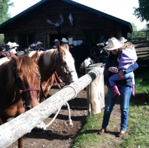 Horses at Moose Head Ranch WY